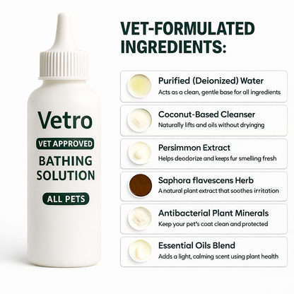 Vetro Brush Solutions