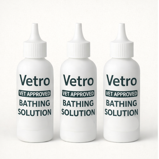 Vetro Brush Solutions