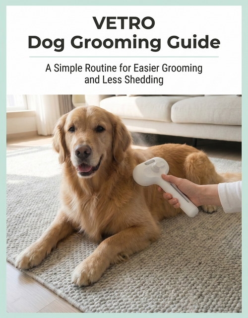 5-Minute Guide to Stress Free Grooming